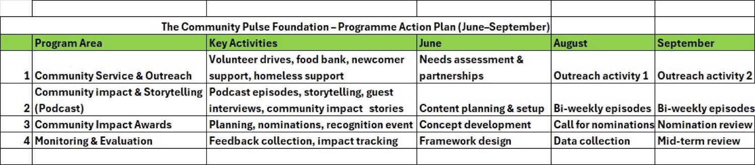 Programme Action Plan